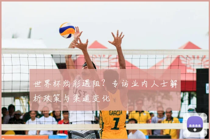 世界杯购彩遇阻?专访业内人士解析政策与渠道变化