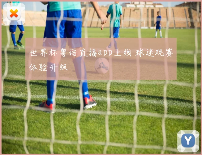 世界杯粤语直播app上线 球迷观赛体验升级