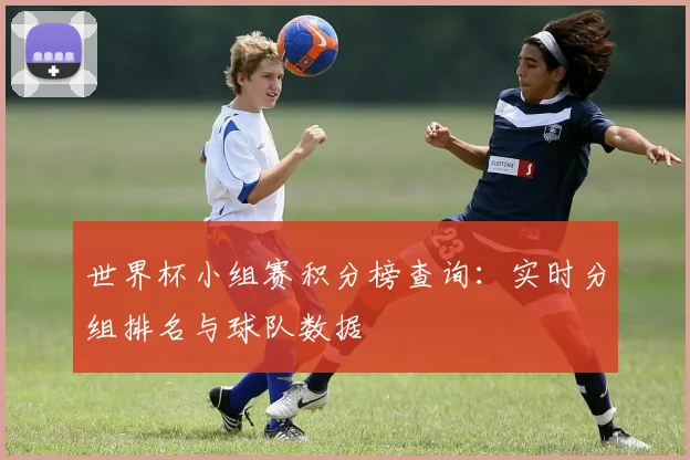 世界杯小组赛积分榜查询：实时分组排名与球队数据