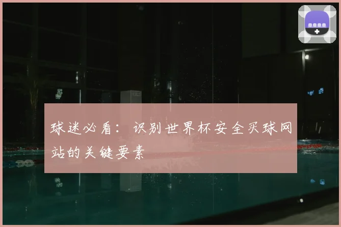 球迷必看：识别世界杯安全买球网站的关键要素