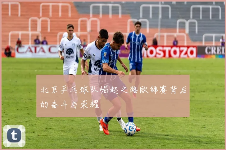 北京乒乓球队崛起之路欧锦赛背后的奋斗与荣耀
