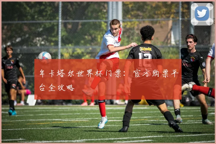 年卡塔尔世界杯门票：官方购票平台全攻略