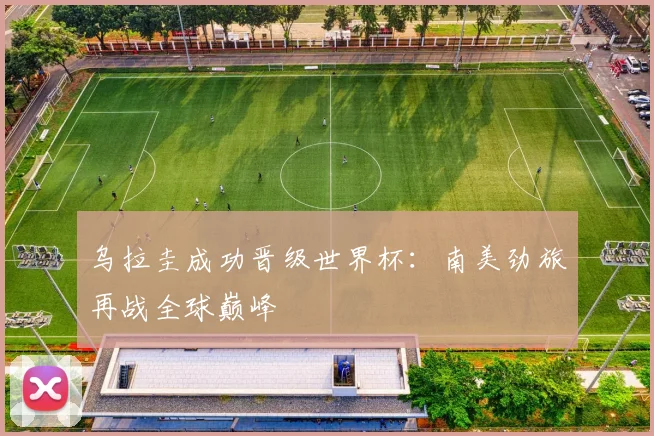 乌拉圭成功晋级世界杯:南美劲旅再战全球巅峰