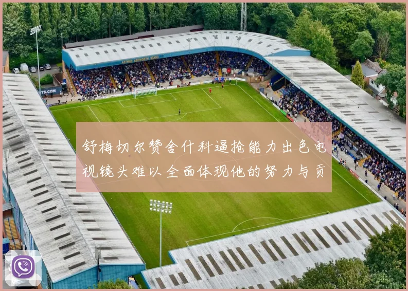 舒梅切尔赞舍什科逼抢能力出色电视镜头难以全面体现他的努力与贡献